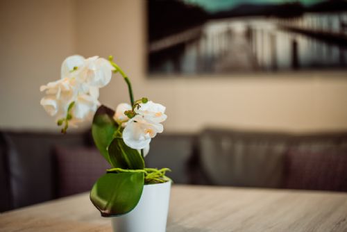 The Hideaway 32 - Sleeps 3 image 13