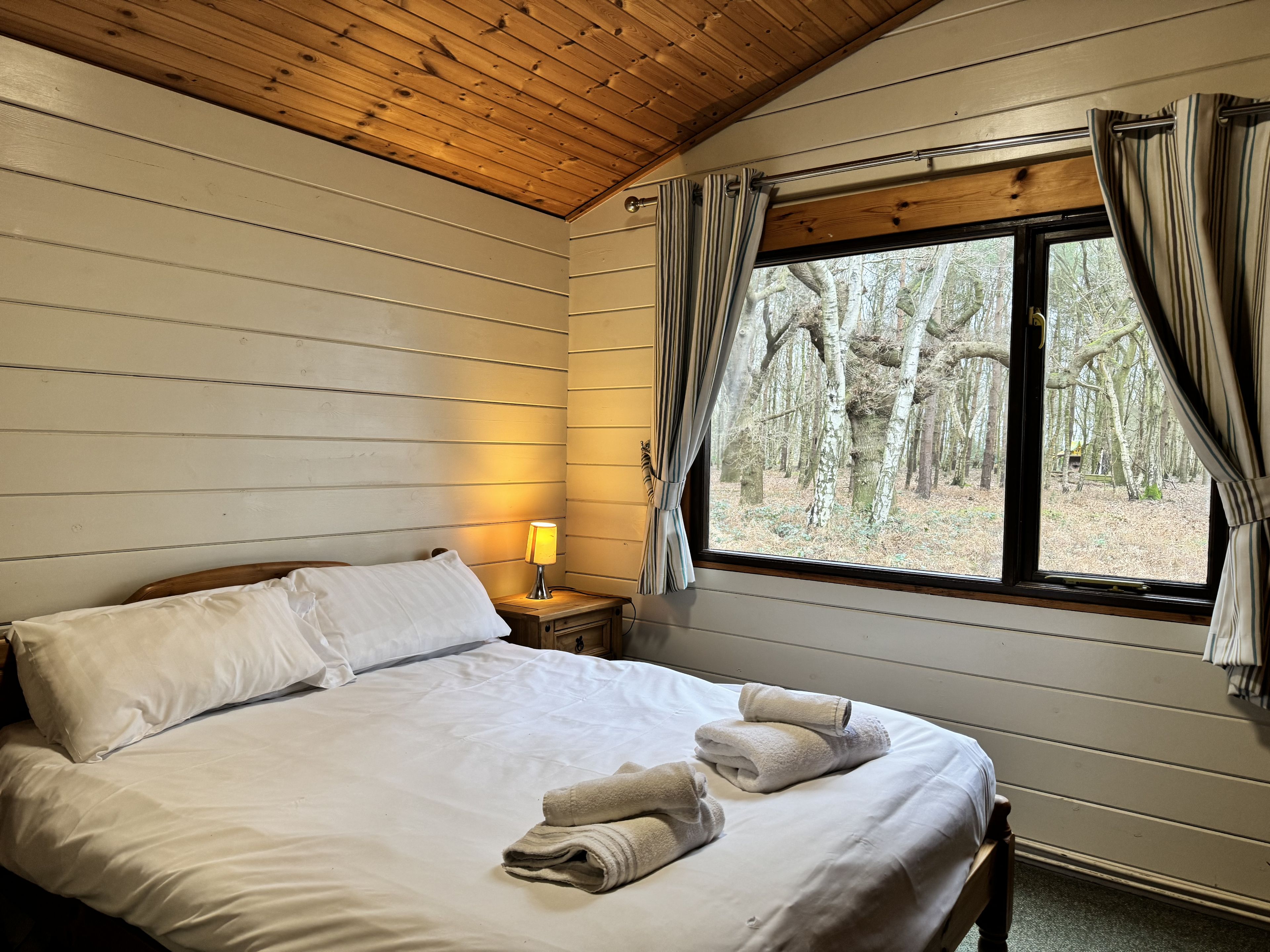 Sherwood Loxley 32  Pet  image 6