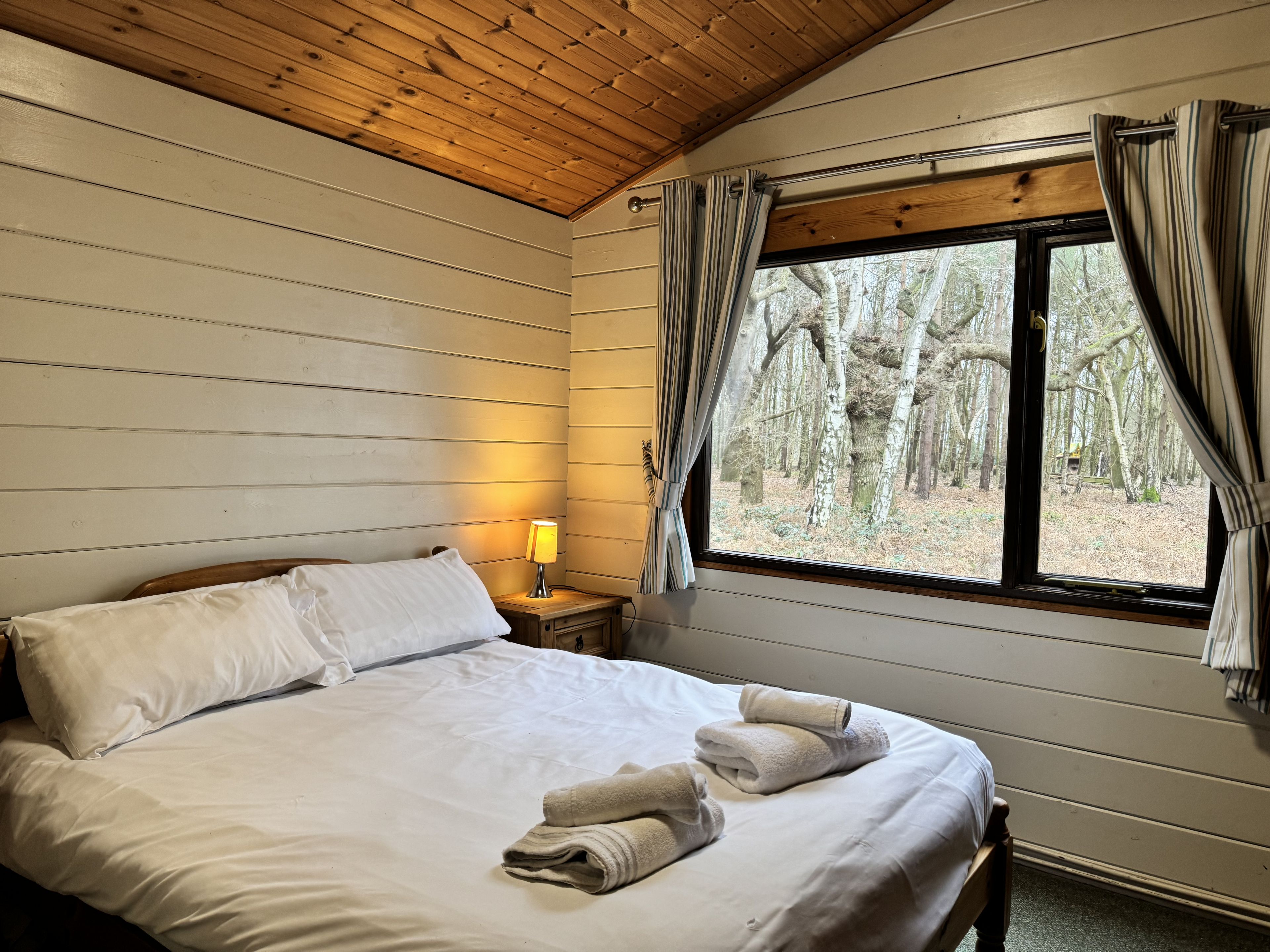 Sherwood Loxley 32  Pet  image 1