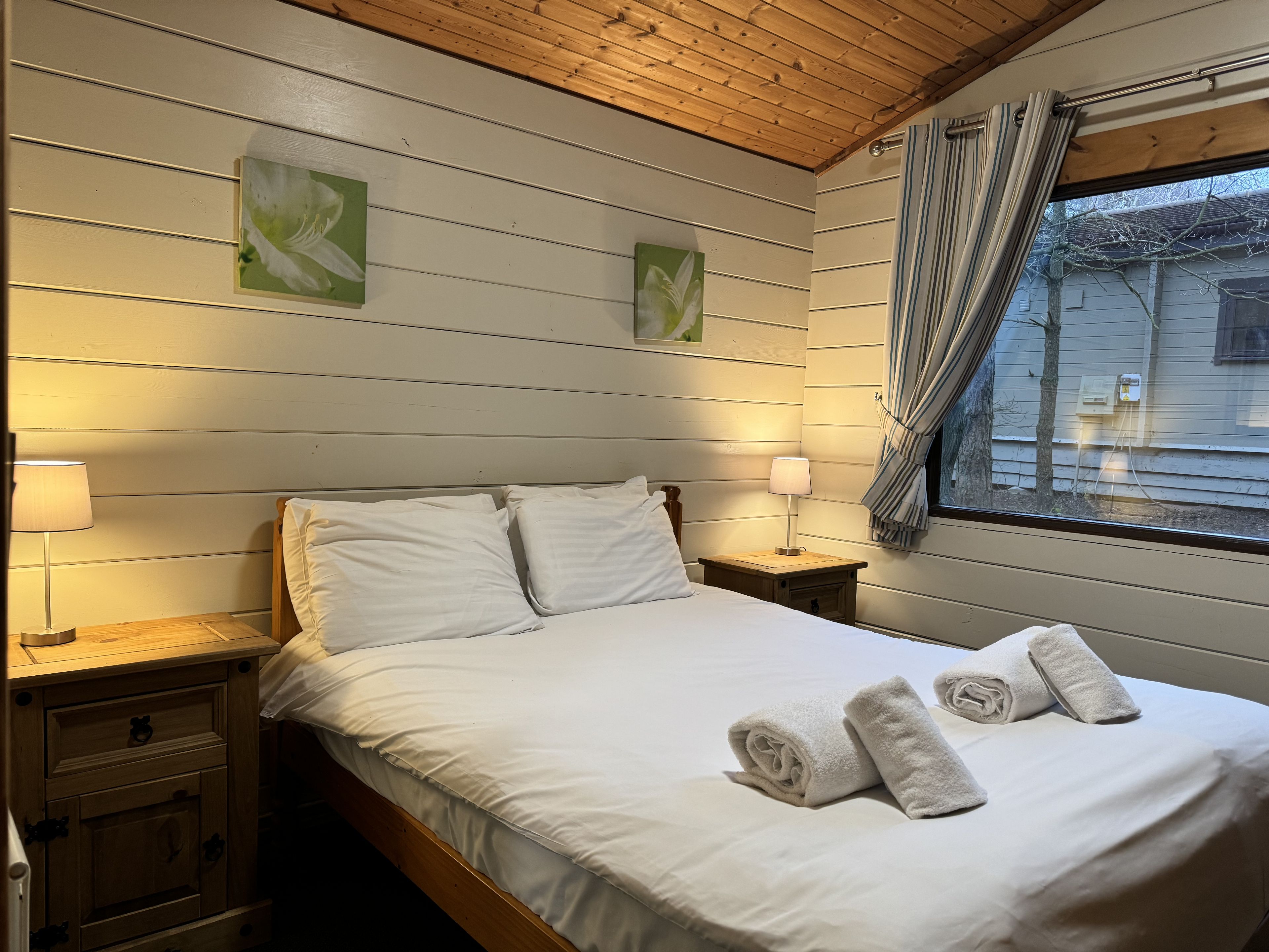Sherwood Maid Marion 31 - Jazz Lodge image 1