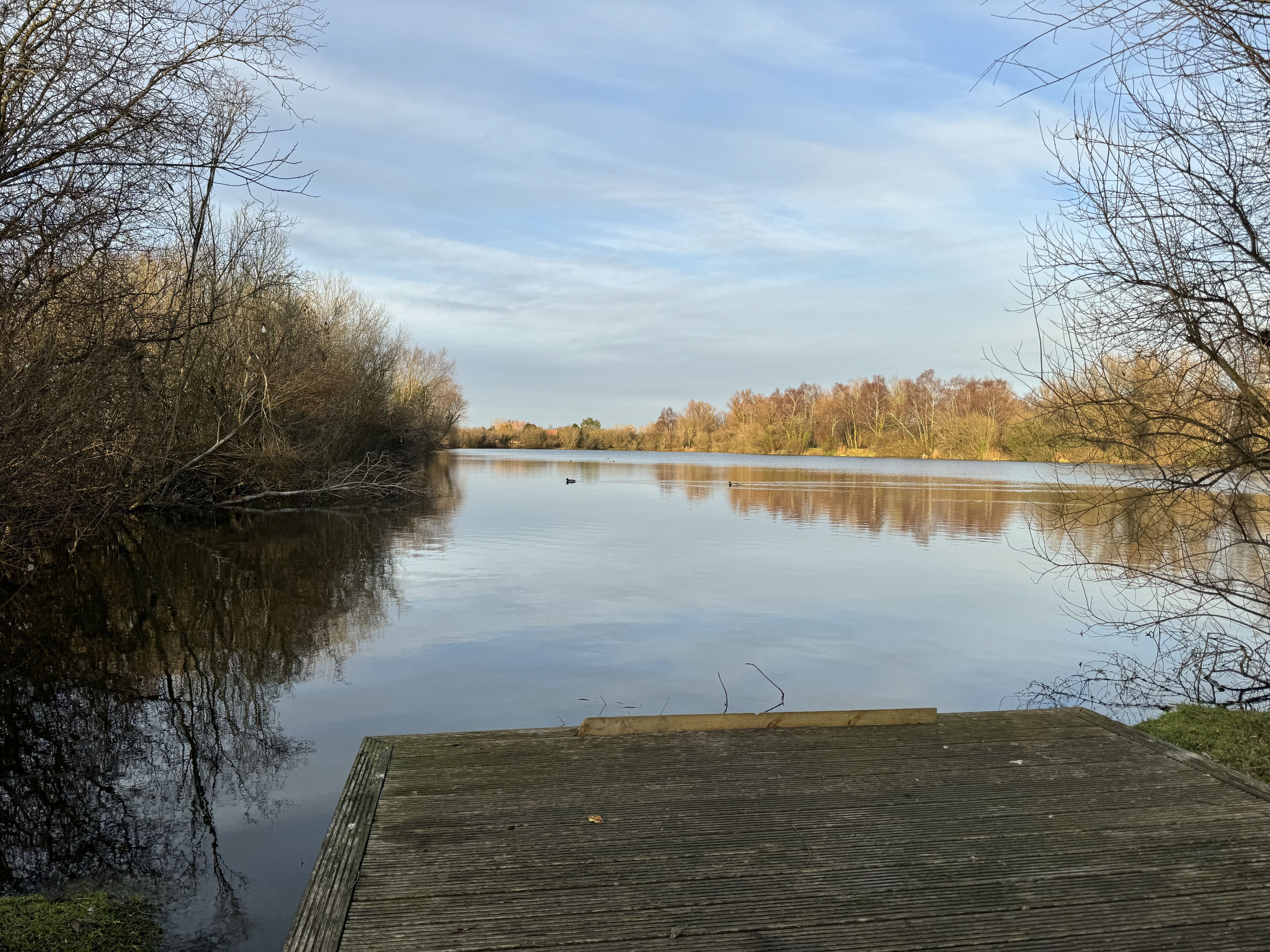 Woodlakes Willow 1 image 8