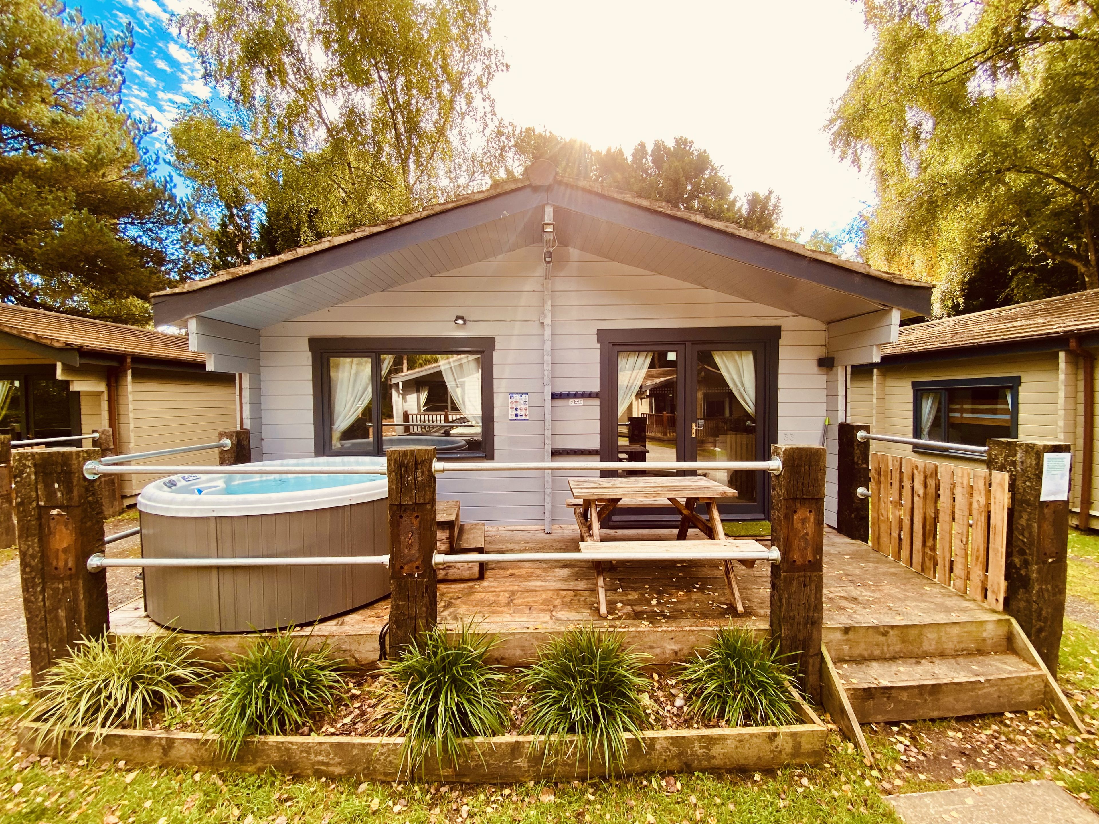 Sherwood Loxley 33 Pet image 13