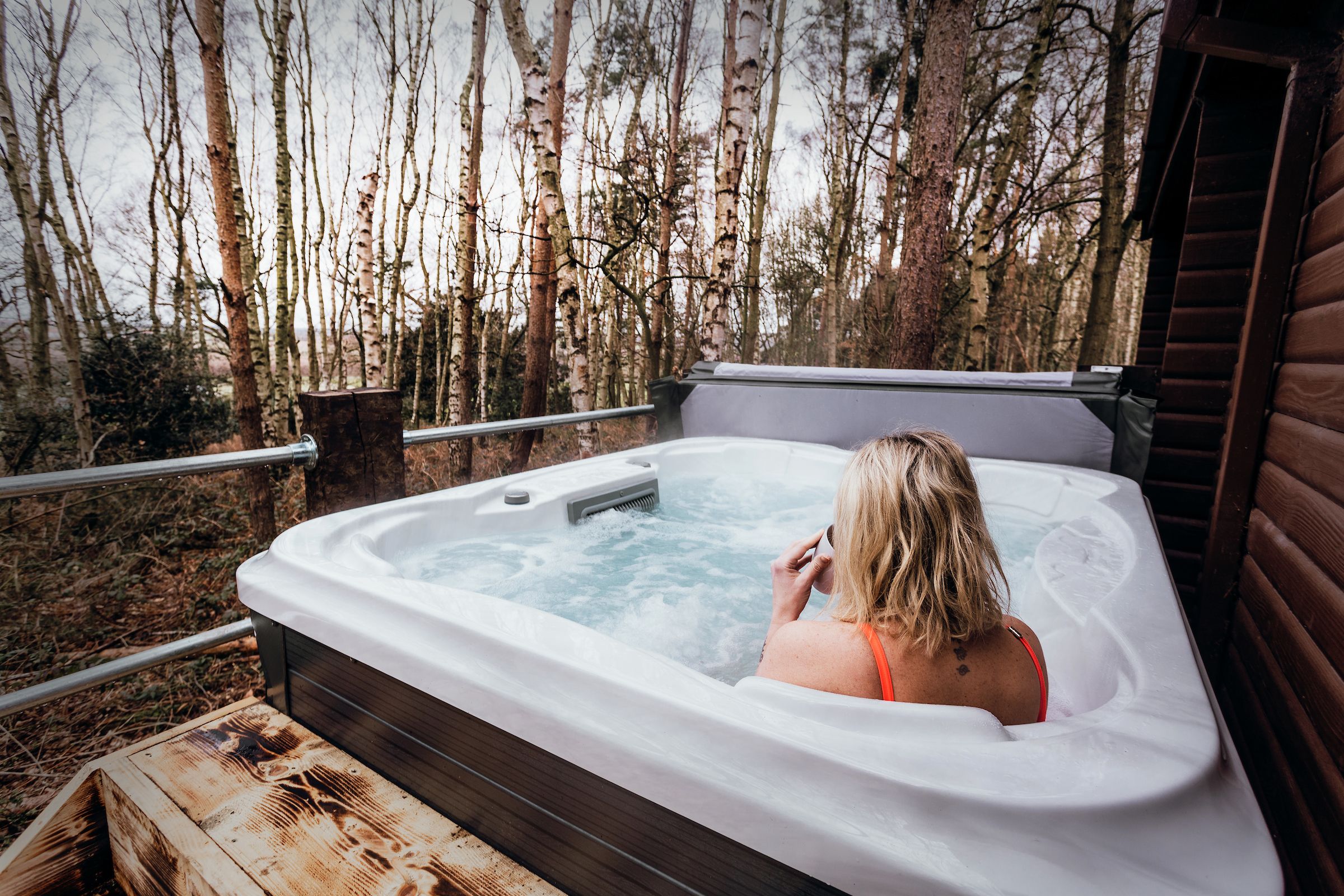 Sherwood Valentino pet 2A HOT TUB image 2