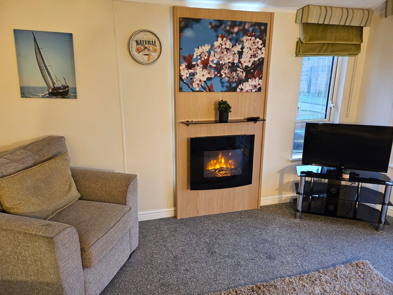 Applegrove 13 - Silverbirch image 11