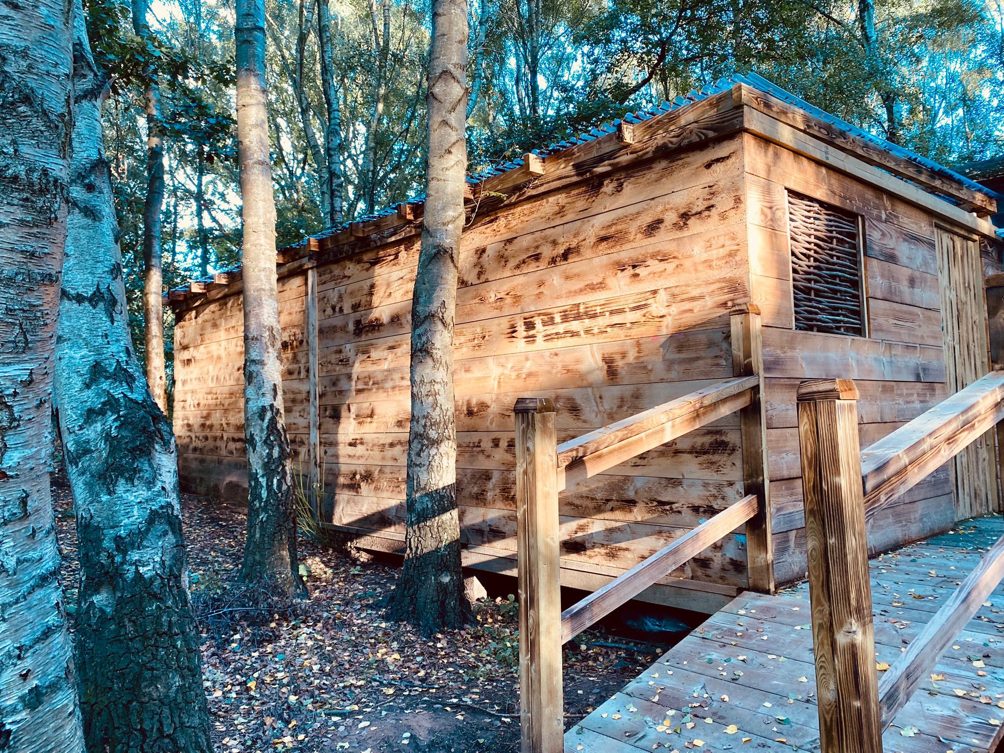 Sherwood Sylvan 9 - Wizardry Lodge image 11