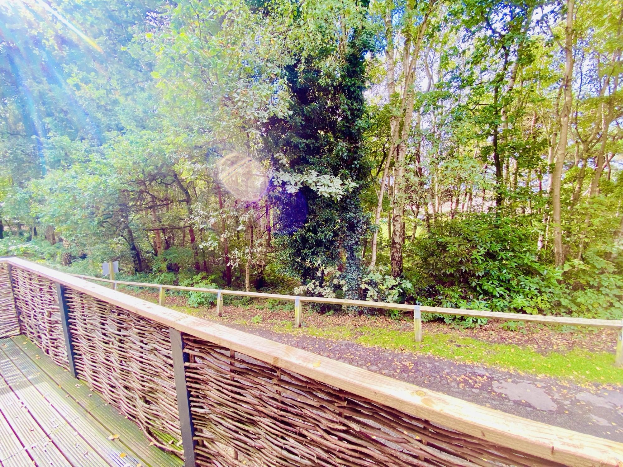 Sherwood Sylvan 3A image 11
