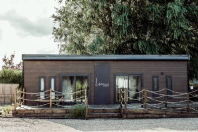 Black Bull 09 photo 3