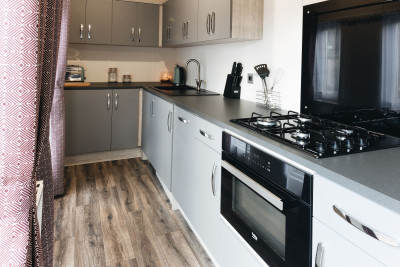 Black Bull 01  photo 3