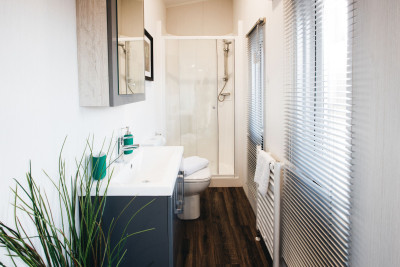 Black Bull 07 photo 4