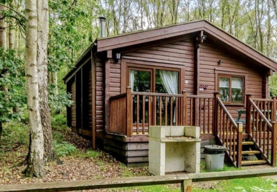 Sherwood Sylvan 5 photo 2