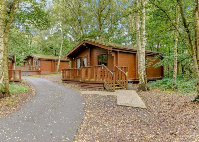 Sherwood Sylvan 5 photo 5