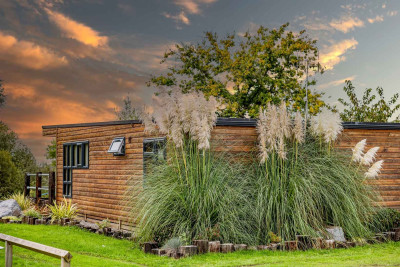 Woodlakes Larch XL 21  photo 4