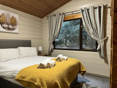 Sherwood Loxley 33 Pet photo 5