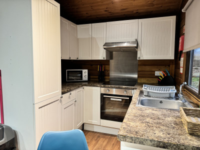 Sherwood Valentino pet 2A  photo 4