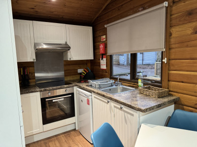 Sherwood Valentino pet 2A  photo 5