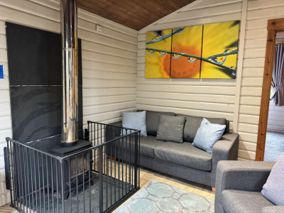 Sherwood Sylvan 3 - Sports Theme Lodge photo 5