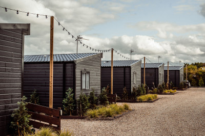 Black Bull 09 photo 4