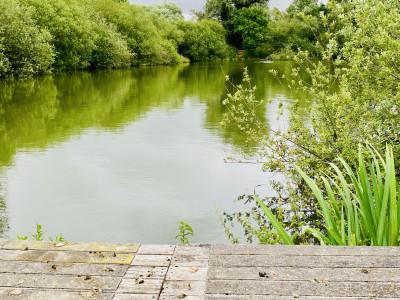 Woodlakes Larch Plus 17 photo 3