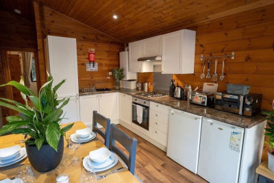 Sherwood Loxley 32  Pet  photo 4