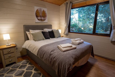 Sherwood Loxley 32  Pet  photo 5